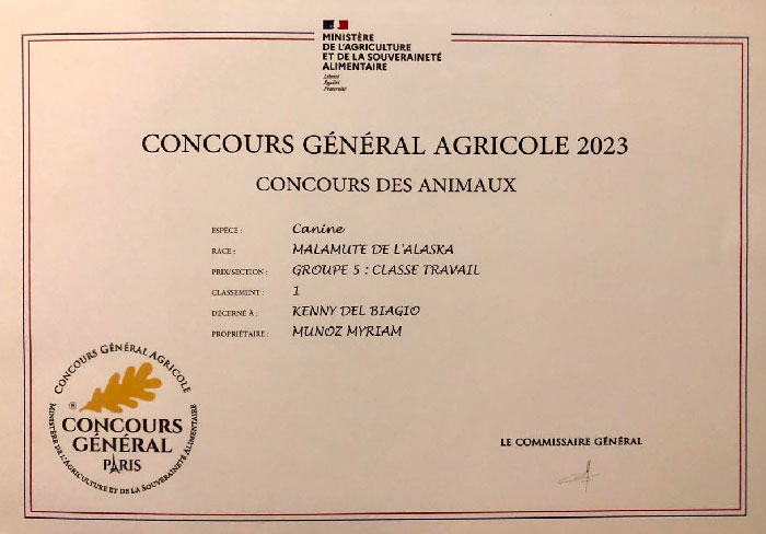 Élevage Malamute portée 2024. 1er au Concours Général Agricole 2023